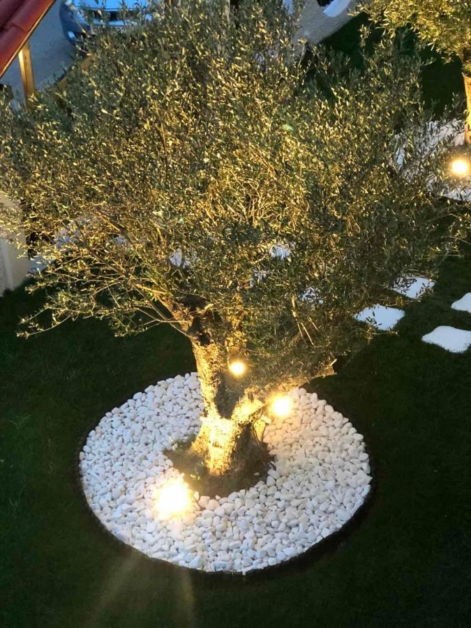 Appartamento Amaryllis House Platamonas Esterno foto