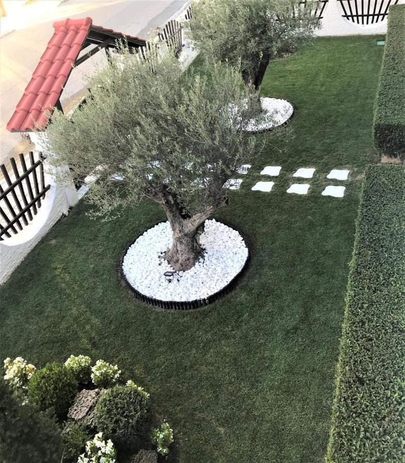 Appartamento Amaryllis House Platamonas Esterno foto